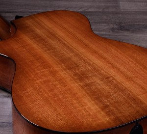 Taylor Urban Ironbark guitars back