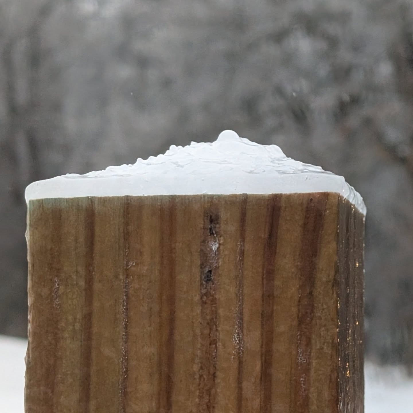 Winter's fury pounds country, impacts wood industry