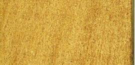 Mesquite