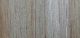 Northern white cedar