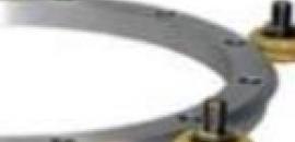 Bishop_hepcomotionSM.jpg