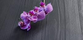 chemetal-interiorarts_6070_black_fresh.jpg