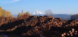 columbia-vista-pic1-big.jpg