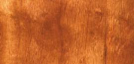 Koa 1