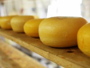 Cheesemaking
