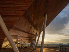 Timber prize finalist