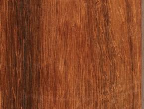African Padauk