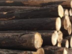Sawmilling charred logs
