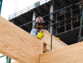 Georgia Mass Timber Accellerator