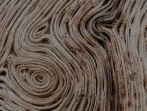 Tanbark molded wood fiber