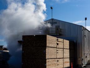 Western Forest Products Saltair Continuous dry kiln