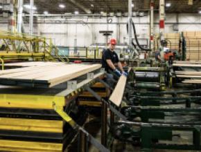 Northwest Hardwoods Lumber Processing