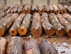American Hardwood Assured