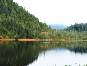 Shelter Cove Tongass National Forest Alaska