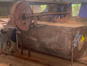 Asian sawmill in action
