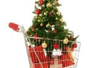 Christmas Tree Science & Industry: Worth a Look