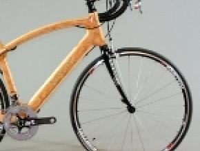 Collins_fscbikeSM.jpg
