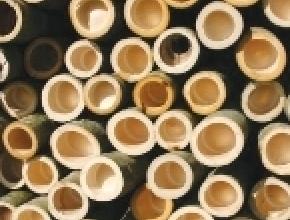 Hardwoods o2bamboo 145.jpg