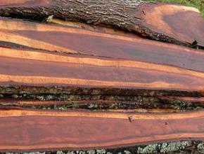 Hawaiian Legacy Hardwoods