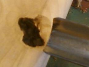 Maxey-Knot-Patch145.jpg