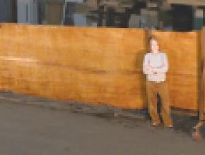 Company Imports Largest Ancient Board in U.S.