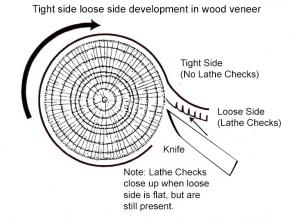 LogCrossSection_Updated.jpg