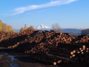 columbia-vista-pic1-big.jpg