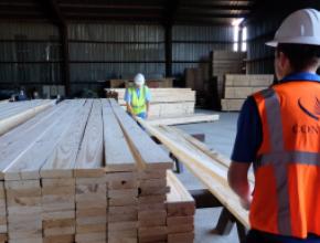 conifex-timber-lumber.jpg