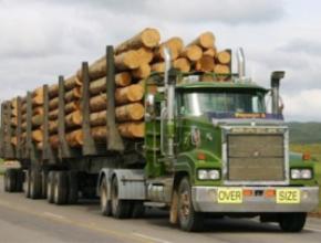 logging truck(2).jpg
