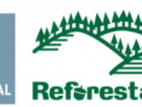 mem-reforestamos.jpg
