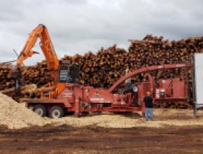 newlife-forest-products-logs.jpg