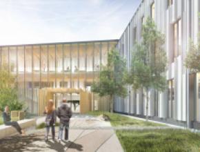 oregon-state-timber.jpg