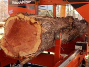 video-windfall-cedar.jpg