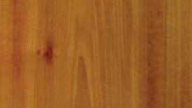 145_WOM_yellow_poplar_grain.jpg