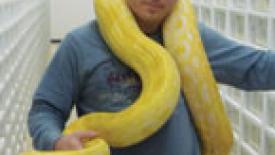 WoodworkingNetwork Top 10: The most viewed items in Feb
