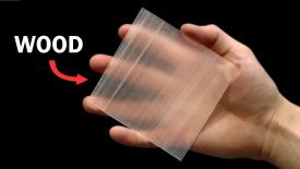 Transparent wood