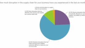 Supply chain disruptions pie chart