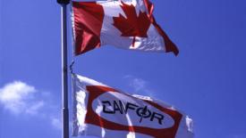Canfor Flag