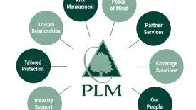 Pennsylvania Lumbermens Mutual Insurance