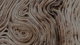 Tanbark molded wood fiber