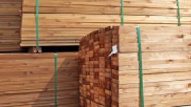 Western Forest Products