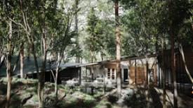 Japanese Forest Within