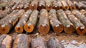 American Hardwood Assured
