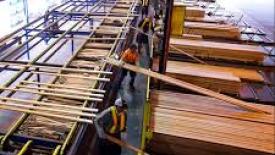 Western Forest Products Chemainus Sawmill