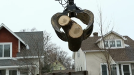 Wood From the Hood