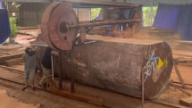 Asian sawmill in action