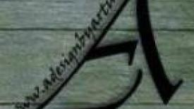 Squirrel Blamed for Fire at Custom Cabinet Shop