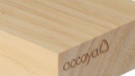 Accoya