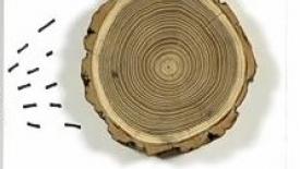 Aliplignum-Reconstituted-Veneersq.jpg