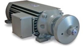 Specialty Motors